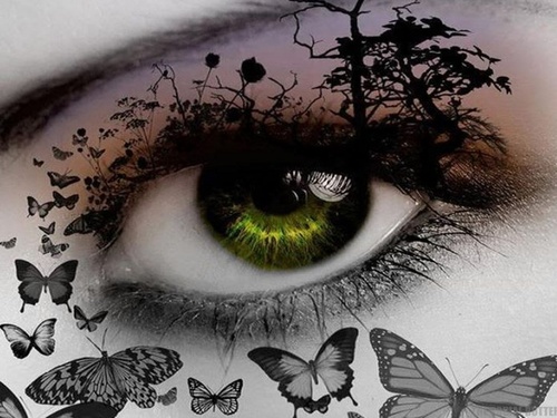 verge_rebecca's profile picture. 