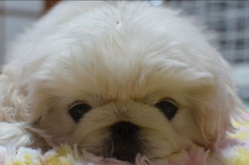 Bobby8823's profile picture. とある外資系通信会社で働く一兵。