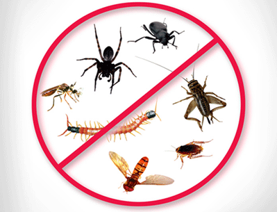 Distributors of pest control products for both the consumer and professional PCO market