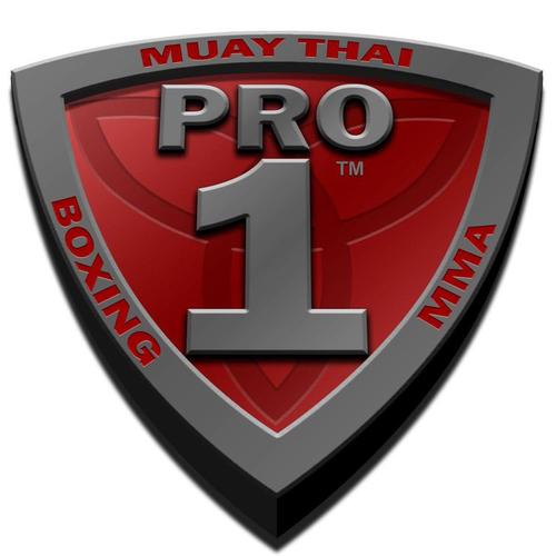 The best stand up fighting is Muay Thai, the best ground fighting is Mixed Martial Arts - MMA. The IFS combines these two into one thrilling hybrid show.
