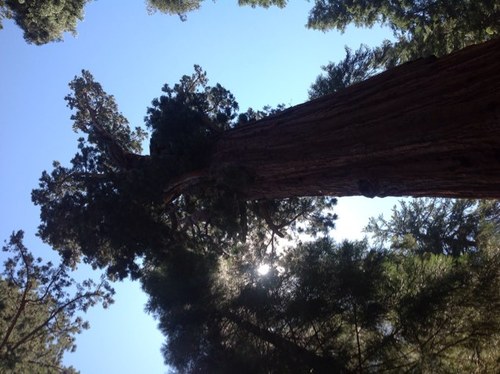 dmts06's profile picture. me