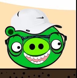 Soy el unico cerdo que a sobrevivido de Angry Birds, En mis ratos libres follo y ultimamente estoy muy desocupado
