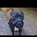 dion hall - @dion_hall - Twitter