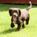 Caroline Bourke - @cazolinecool - Twitter