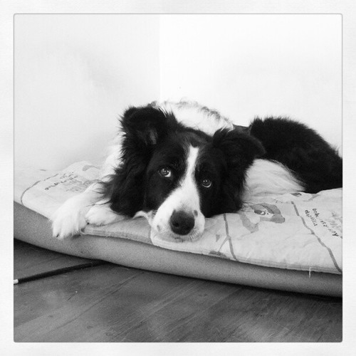 yhcho0926's profile picture. 