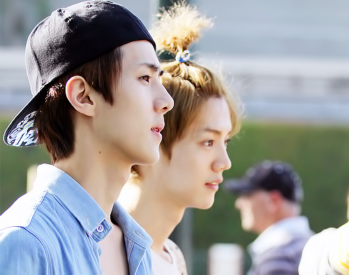 อันยอง~♥ ผมเซฮุน [มักเน่] บอท  จาก EXO-K ฟอลมาคุยได้นะครับ .