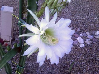 hckt's profile picture. 