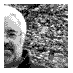 David Worth (@prarry) Twitter profile photo David Worth (@prarry) Twitter profile photo