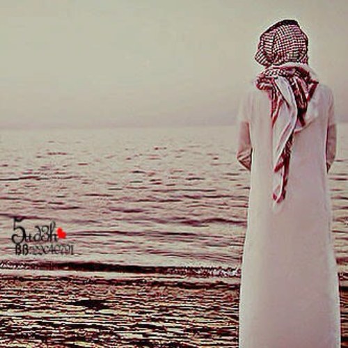 alah33's profile picture. 