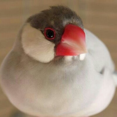 まさよ（7200BIRDIE） (@hina_chan29) / X
