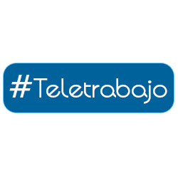 Teletrabajo en Argentina; Información, Noticias y Negocios.