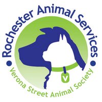 ROC Verona Animals (@vsas_ras) 's Twitter Profile