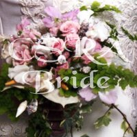 CSRA Bride (@csrabride) 's Twitter Profile