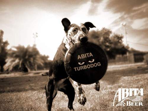 turbodog08's profile picture. I started here for hockey #NYR and stocks. 🗽⚖️🇺🇸 🌊 Democrat. I rely on sector relative strength, medium to long term