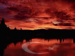 berrq's profile picture. 