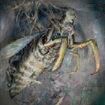 matrioshka_bot's profile picture. 「これほどの忠誠は作らねば手に入らない。」　MTG/フリーゲーム/ドミニオン/まんが/掘骨砕三/Livetube/殺意/人外/なまもの/同人誌買う方/同人ゲーム作る方/botとかありません愛です愛