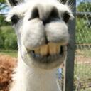 Latoya Jacobs - @LJacobsyourmom - Twitter