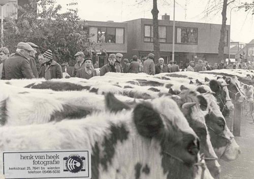 Sunte Mart'n, een knipoog naar het verleden ;) Een heel weekend feest voor Wierdenaren met op maandag de traditionele jaarmarkt al sinds 1864 !!
