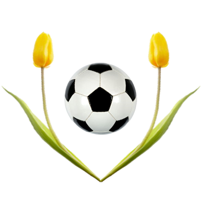 Dutch football players in foreign competitions