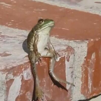 Adolfo Rubio (AdolfoR2) Twitter