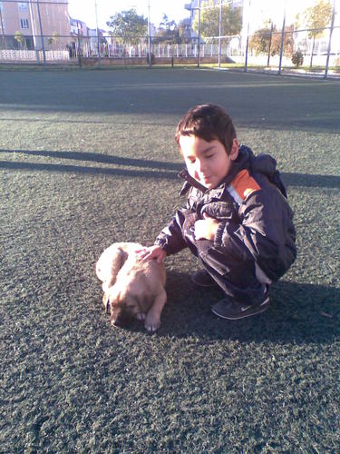 Olacak