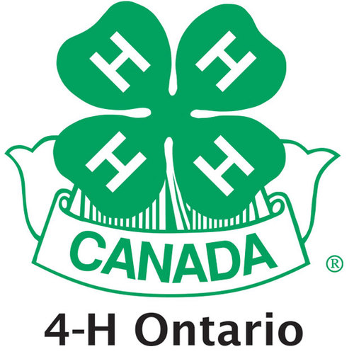 4Region4's profile picture. Encompassing Brant, Dufferin, Haldimand, Hamilton/Wentworth, Halton,Norfolk, Niagara, Peel, North & South Simcoe, Waterloo & Wellington Counties