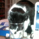 Caroline Flaherty - @CazFlaherty - Twitter