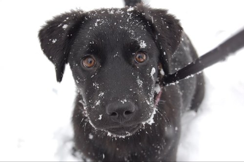 BlackoutStable's profile picture. 