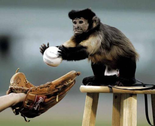 Disgraceball's profile picture. A group of guys making an annual effort to see every ballpark in the country. Still fewer total casualties than years held. #win