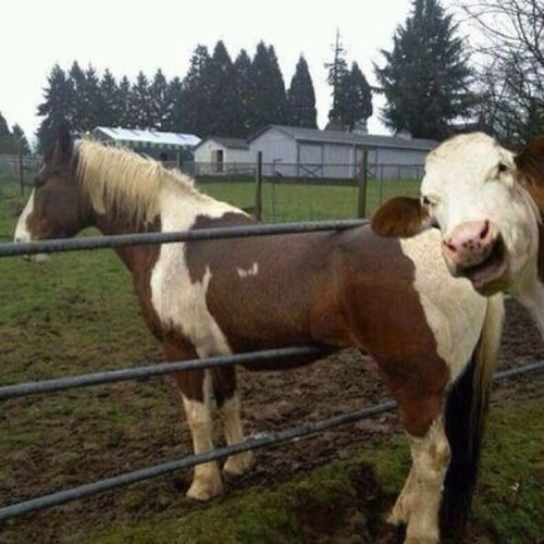 ad62874's profile picture. 