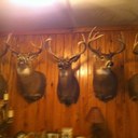 gary hart - @270ultra - Twitter