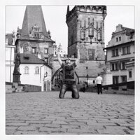 Matthew Last (@matthew_last) 's Twitter Profile Photo Matthew Last (@matthew_last) 's Twitter Profile Photo