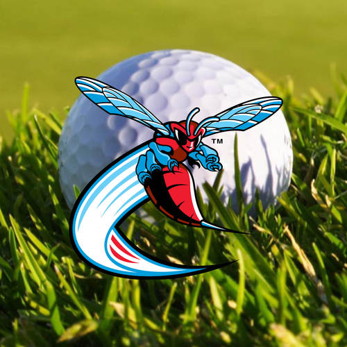 Official Twitter of the Delaware State University women's golf team. Est. 2012