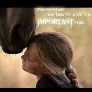Foot_loose13's profile picture. for horse lovers every where3