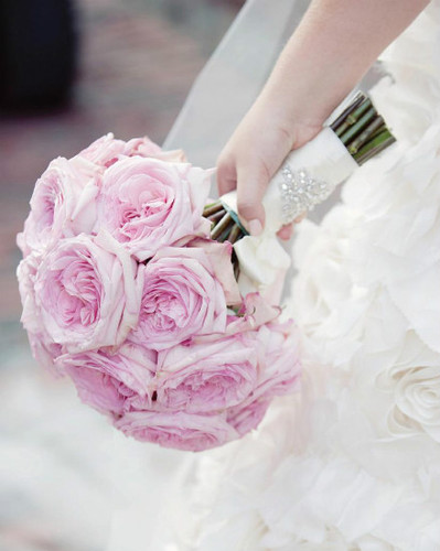 freesiadesigns_'s profile picture. Freesia-designs by kim is Niagara's premier floral studio specializing in fresh floral artistic designs for weddings, events and  for every occasion 905.7344333