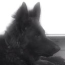 Mark Allday - @markallday - Twitter