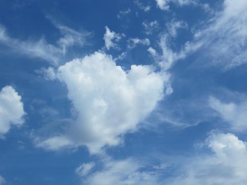 Sayoko Inoue 雲変化 Kumohenge Twitter