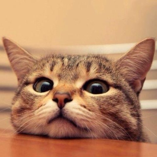 mura09ann's profile picture. 