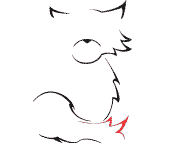 atfox1's profile picture. Bonne journée, bonne soirée ou bonne nuit !