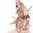 irishcan67's profile image
