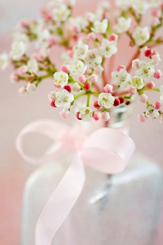 zjsh313's profile picture. اكتُب بقلمِ العقل على صفحةِ القلب، أن لا موُثر في الوجود إلا الله