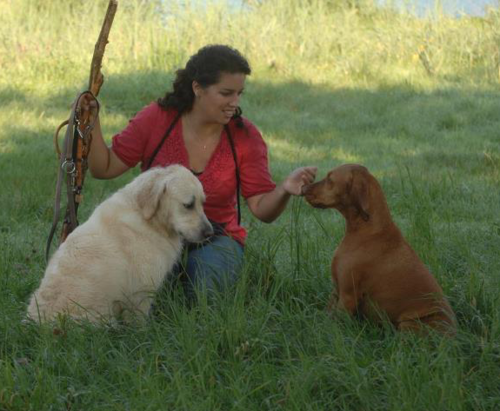 hondengedragsdeskundige | kindercoaching | therapiehonden | gezondheidsadvies | paraveterinair | hondenuitlaatservice+ | sportinstructrice |