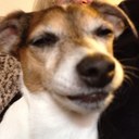 greg aldridge - @cheerfulchimp - Twitter