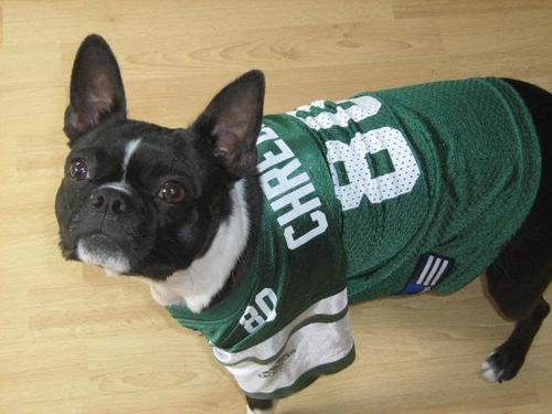 islipjetsfan's profile picture. 