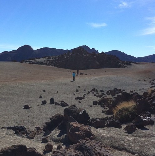 CabreraLaly's profile picture. 