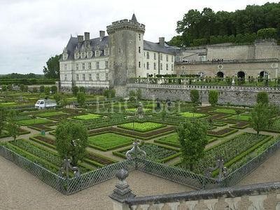 villandry2's profile picture. 불의를 보면 참지않고, 루소의 철학을 사랑하며, 인내심을 시험하는 철인3종경기 경험자. 식스팩