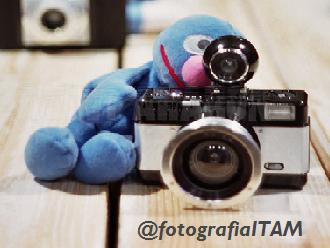 El club de fotografía del ITAM, porque
 Lo importante es ver aquello que resulta invisible para los demás. -Robert Frank