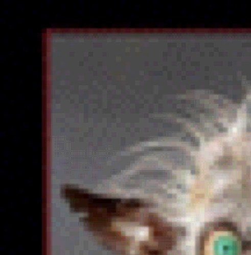 rjsquirel's profile picture. 