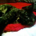 julia_larson - @julia_larson - Twitter