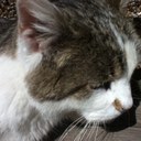 Mel George - @mgeorge35 - Twitter